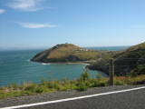 Royal Albatross Albatross centre at the entry to this huge inlet to Dunedin