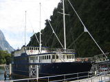 The ship M/S Milford Sound