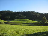 Rolling hills and a rim of forrest against the storms and gales of the ocean