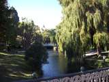 Park scene in Christchurch, beautiful city