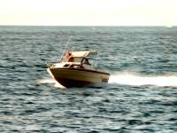 Photo taken from the Tangalooma wrecks.
